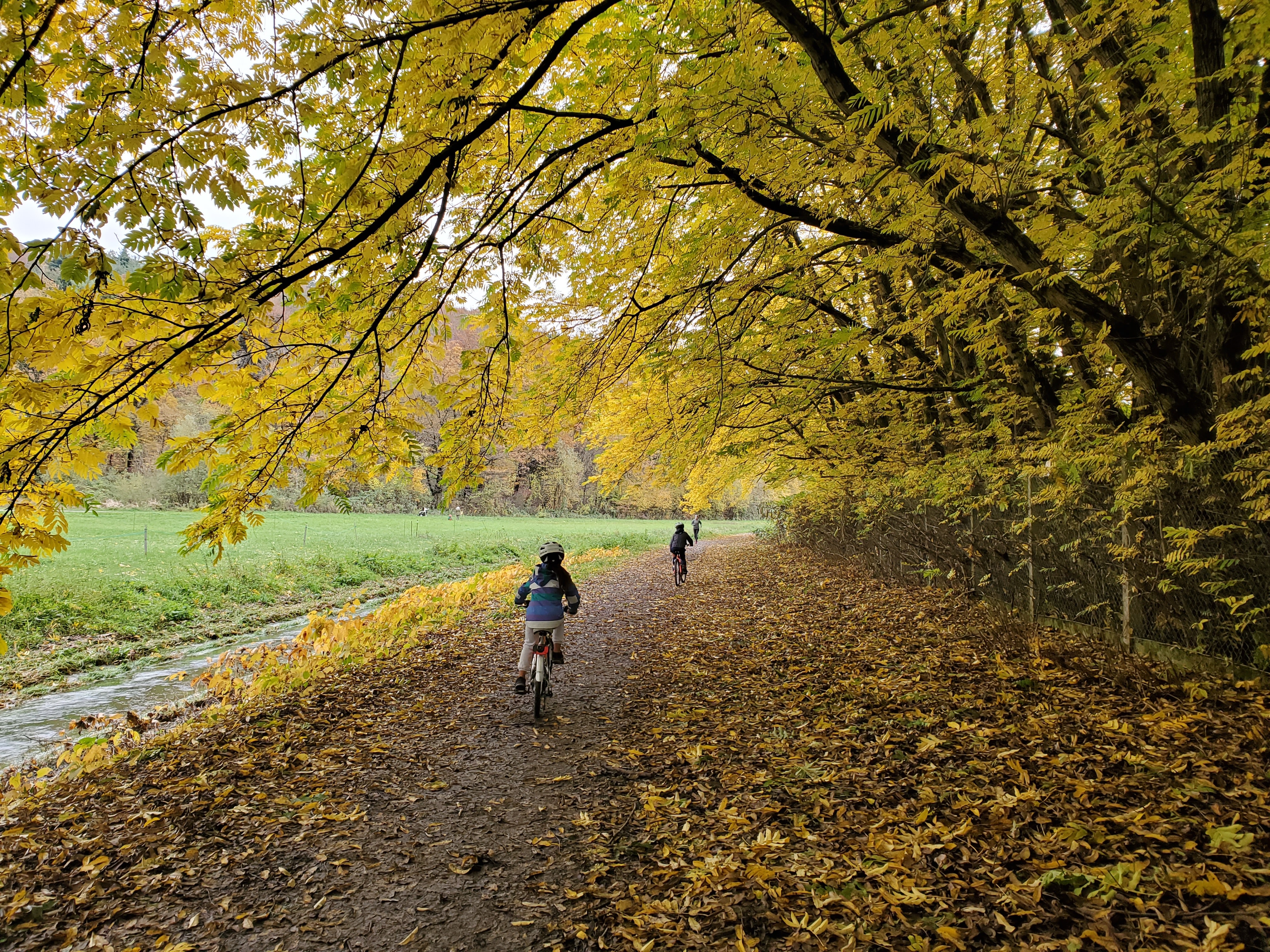 children on bikes in fall