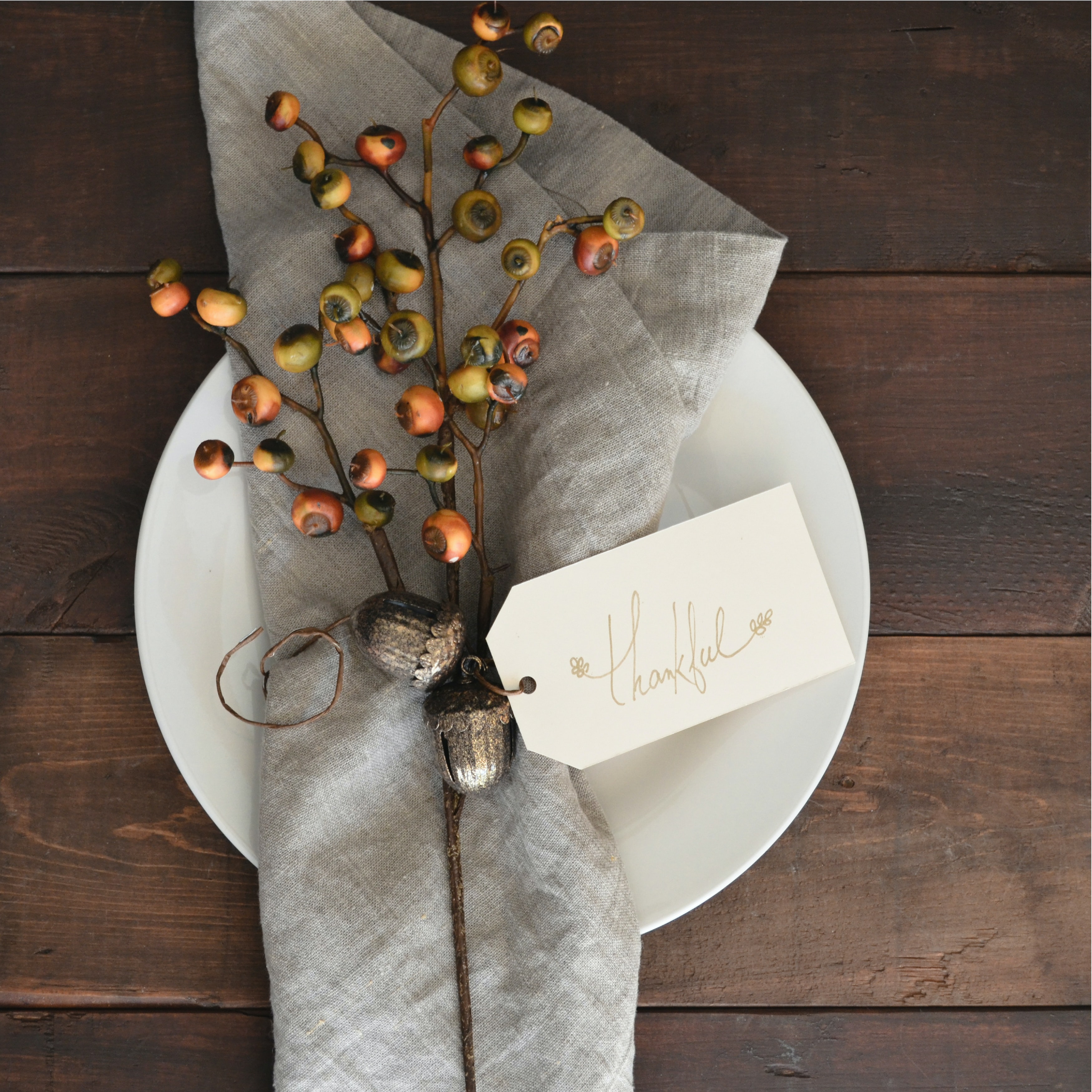 Plate with "Thankful" napkins