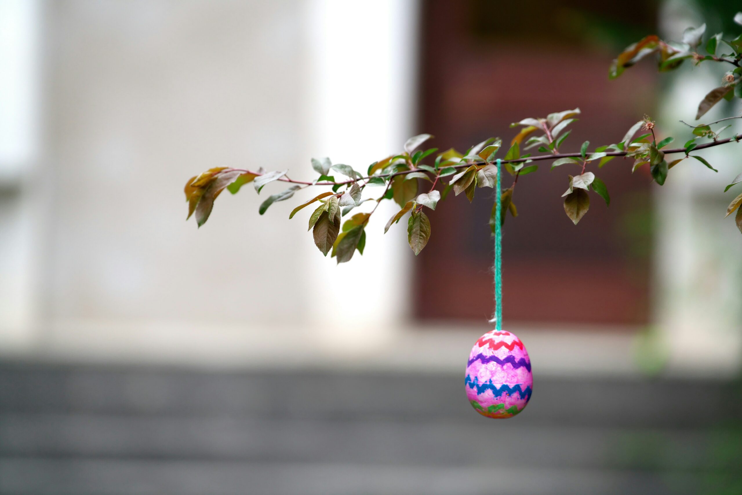 painted egg in tree